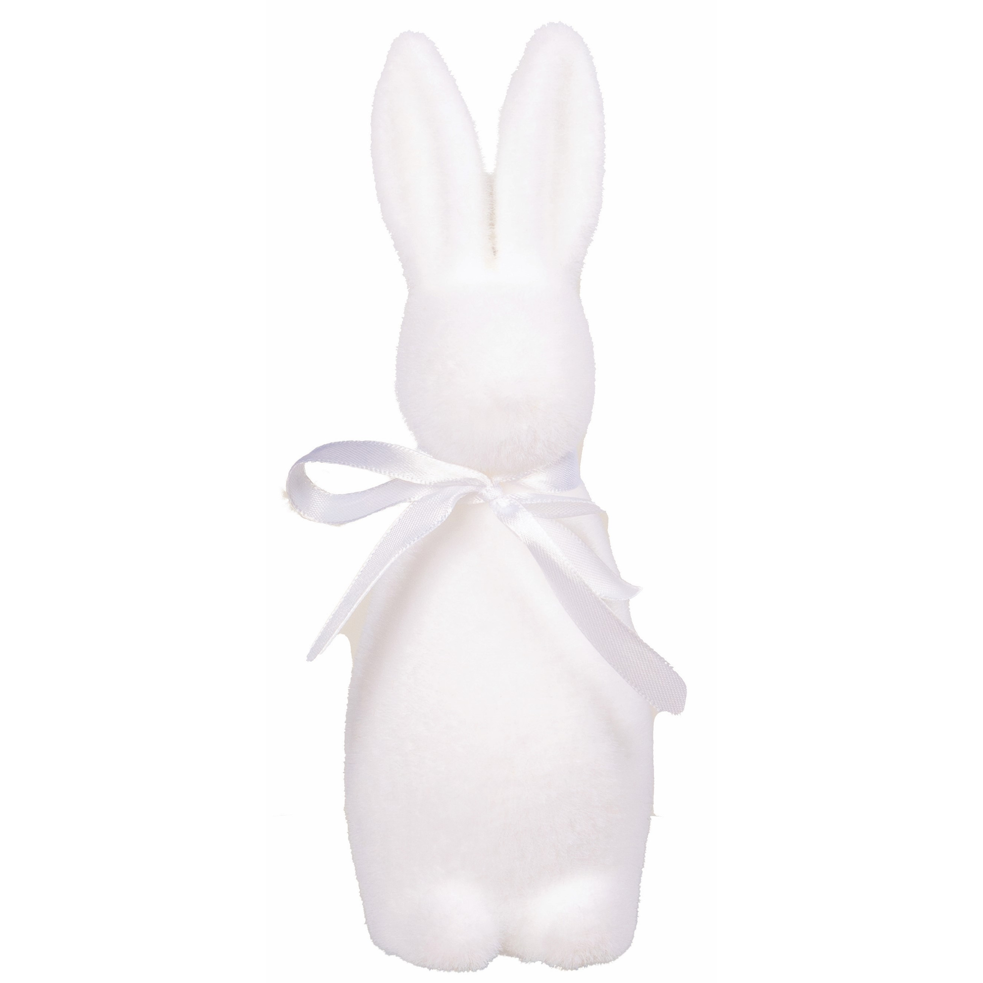 PETIT LAPIN