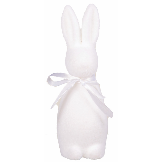 PETIT LAPIN