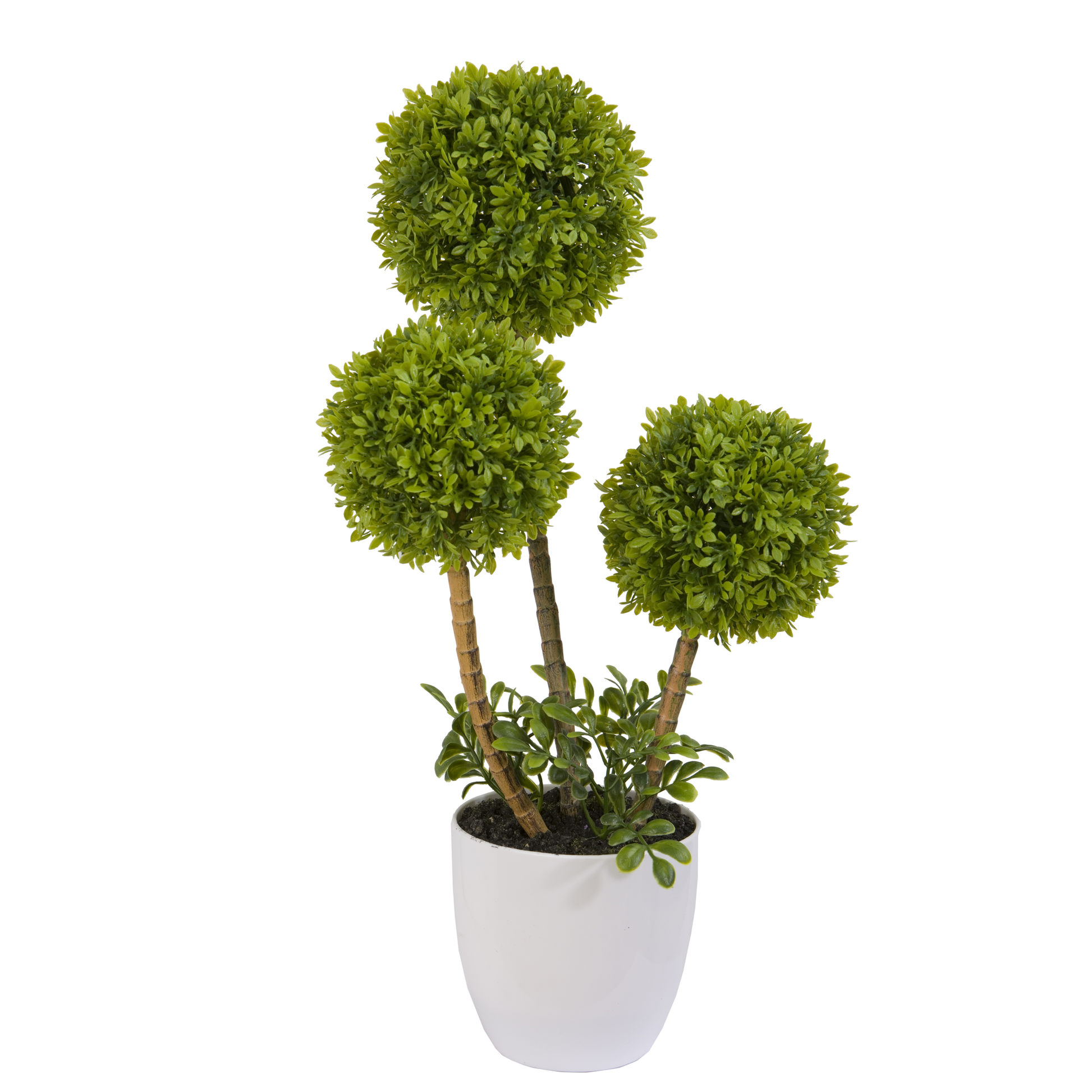 ARBUSTRE GM BOULE DE BUIS