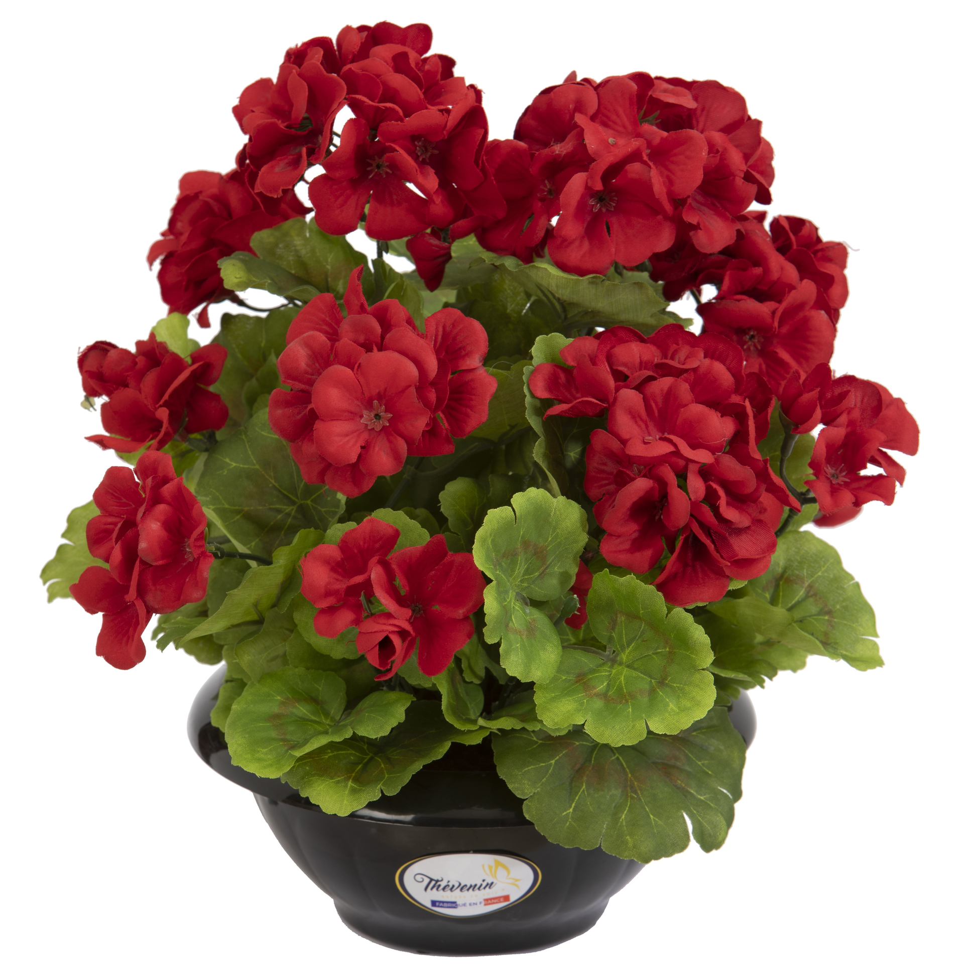 COUPE DE GERANIUMS